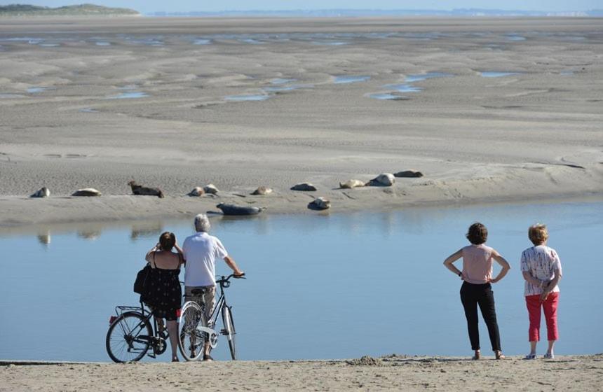 Hamac Chic Vue Mer. Berck Eksteriør bilde